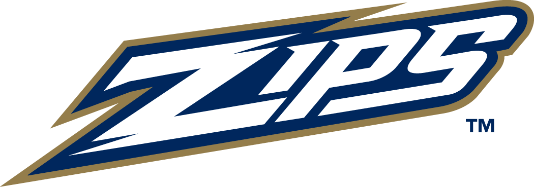 Akron Zips 2002-Pres Wordmark Logo v4 diy fabric transfer